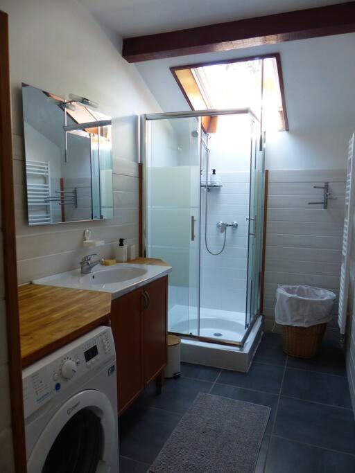 Appartement Dans Maison Brie-et-Angonnes Екстер'єр фото